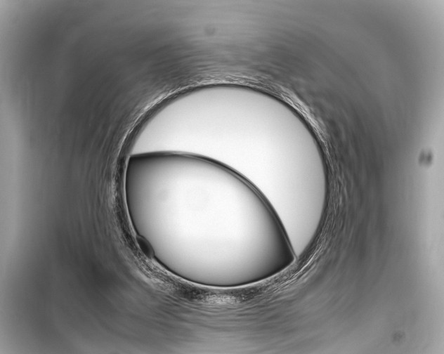 X0000099550203200805160734