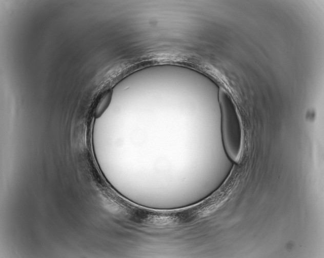 X0000099550205200805160734