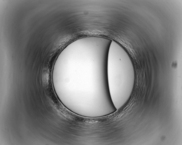 X0000099550206200805160734