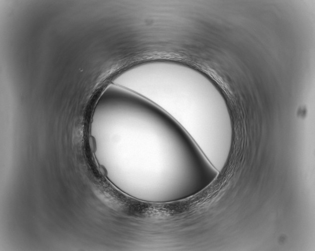 X0000099550207200805160734