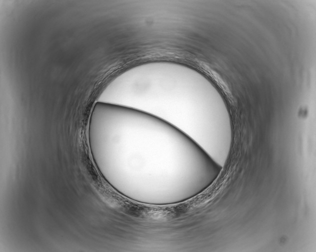 X0000099550209200805160734