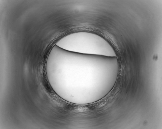 X0000099550210200805160734