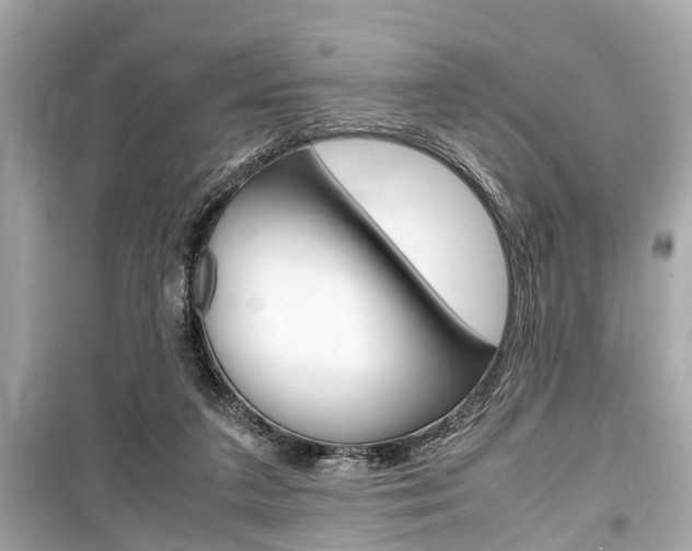 X0000099550211200805160734