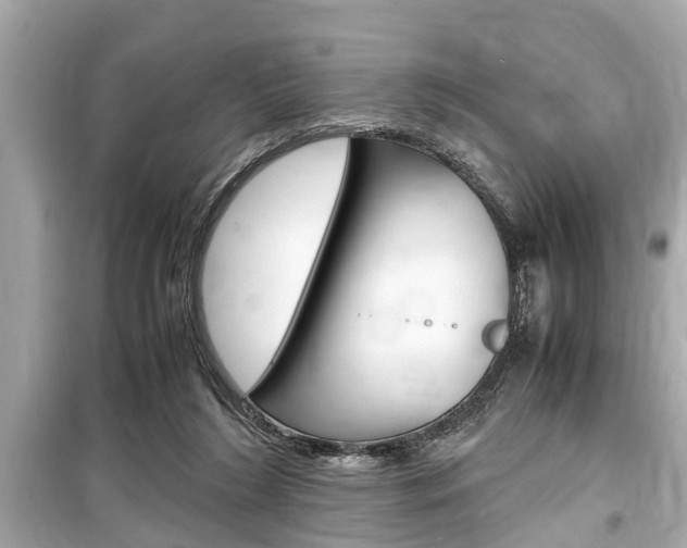 X0000099550212200805160734