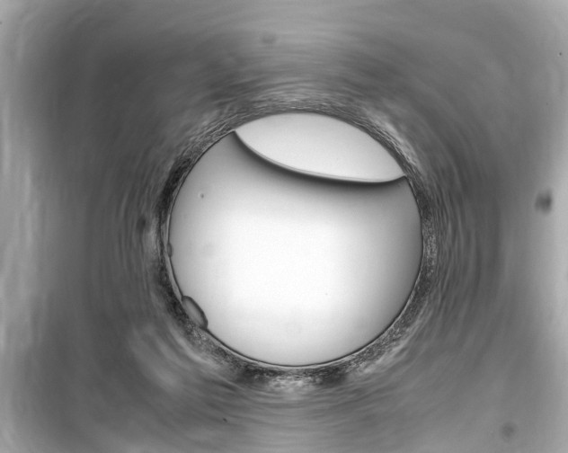 X0000099550213200805160734