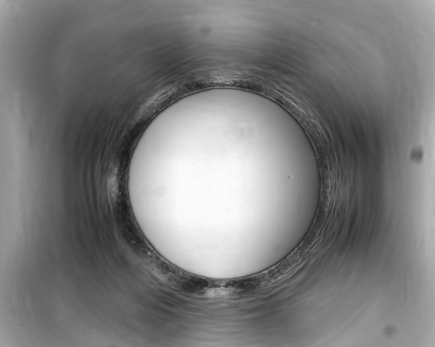X0000099550216200805160734