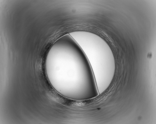 X0000099550217200805160734