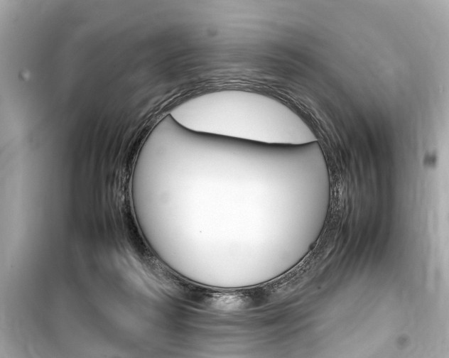 X0000099550218200805160734