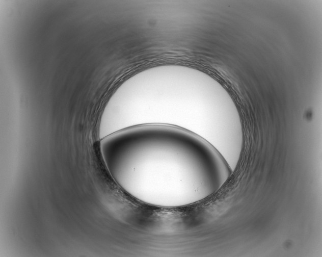 X0000099550221200805160734