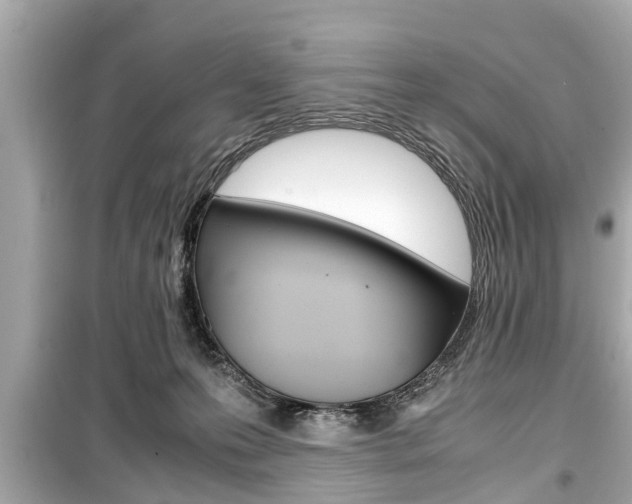 X0000099550223200805160734