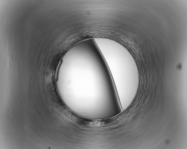 X0000099550225200805160734