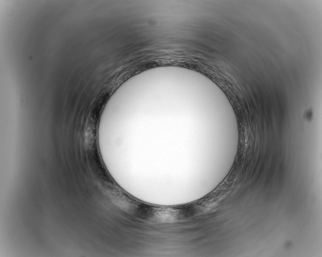 X0000099550226200805160734