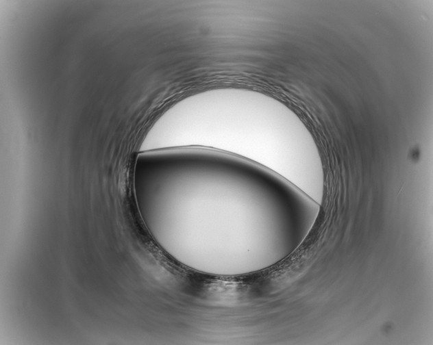 X0000099550227200805160734