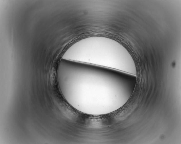 X0000099550228200805160734