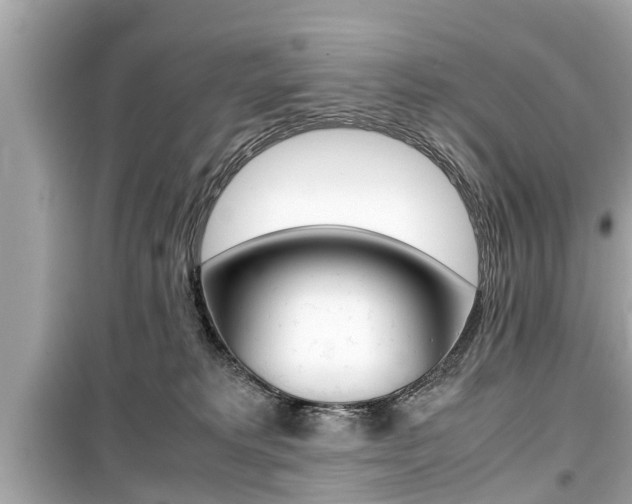X0000099550229200805160734