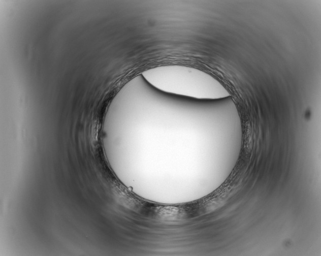 X0000099550230200805160734
