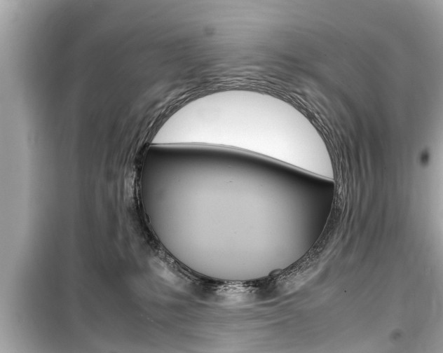 X0000099550231200805160734