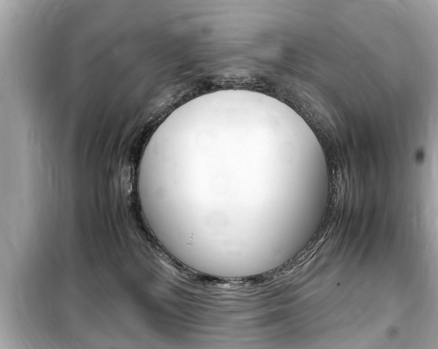 X0000099550232200805160734