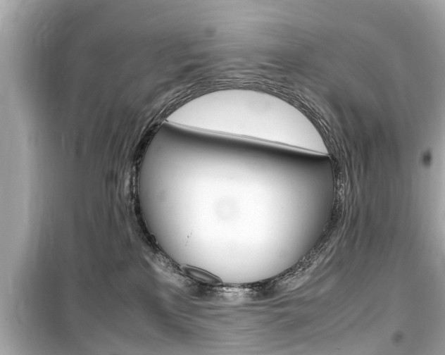 X0000099550233200805160734