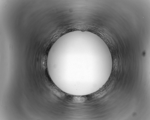 X0000099550234200805160734