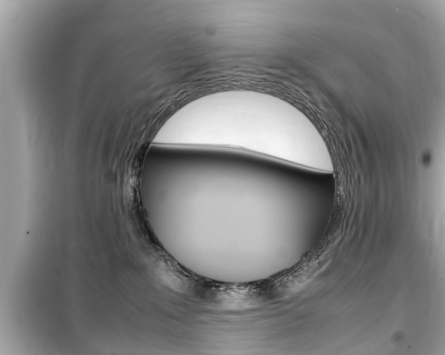 X0000099550235200805160734