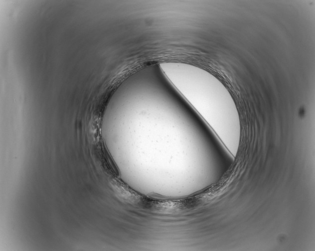 X0000099550237200805160734
