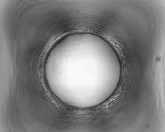 X0000099550241200805160733
