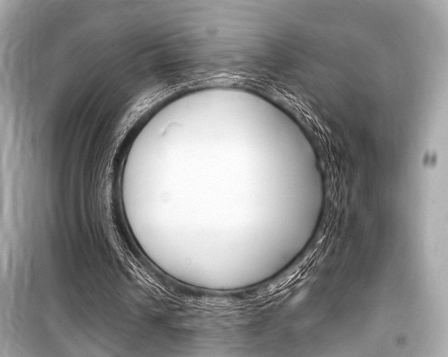 X0000099550242200805160733