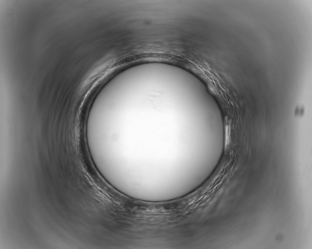 X0000099550243200805160733