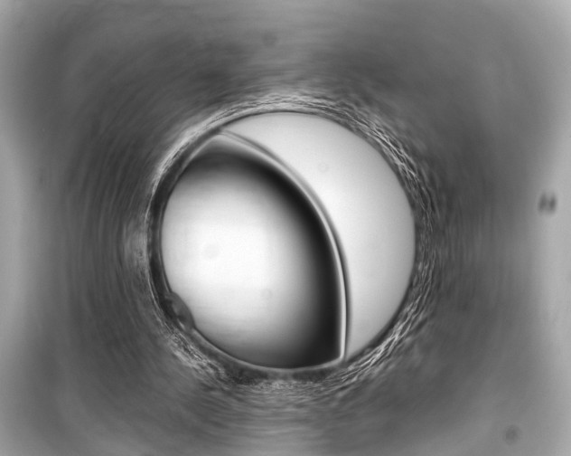 X0000099550244200805160733