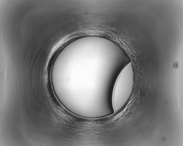 X0000099550246200805160733