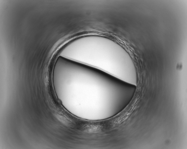 X0000099550247200805160733