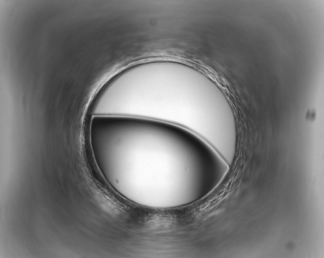 X0000099550248200805160733