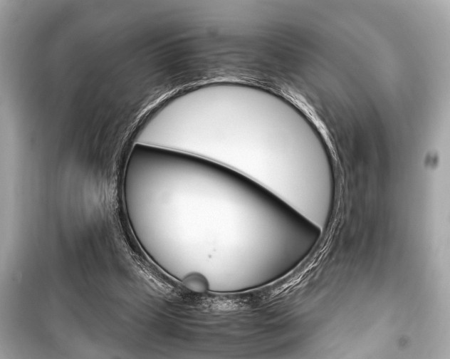 X0000099550249200805160733