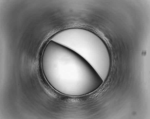 X0000099550250200805160733