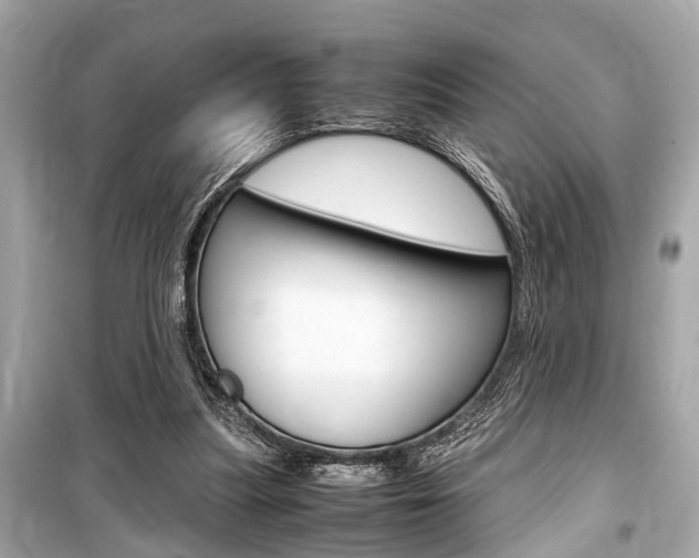 X0000099550251200805160733