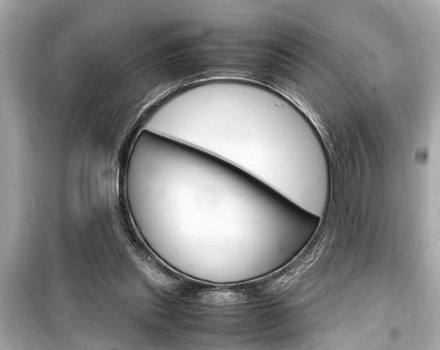 X0000099550253200805160733