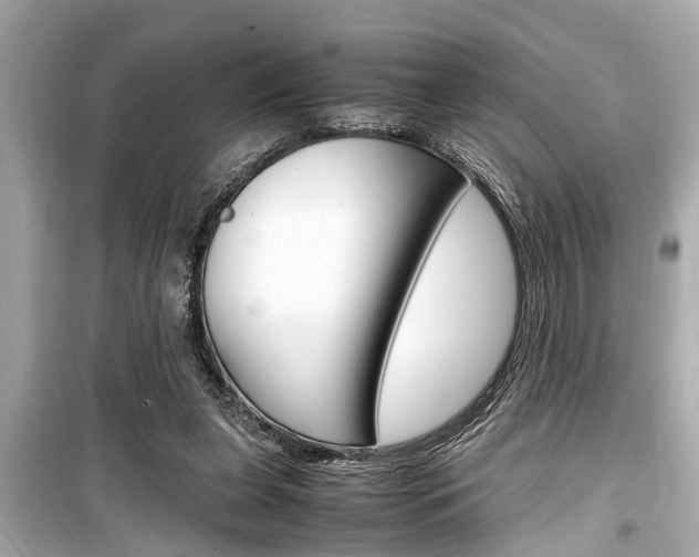 X0000099550255200805160733