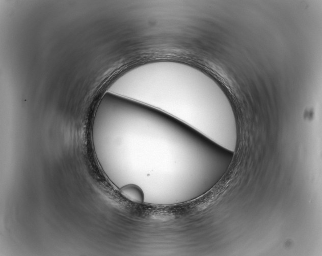 X0000099550258200805160733