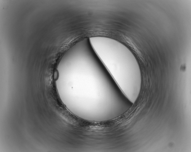 X0000099550259200805160733