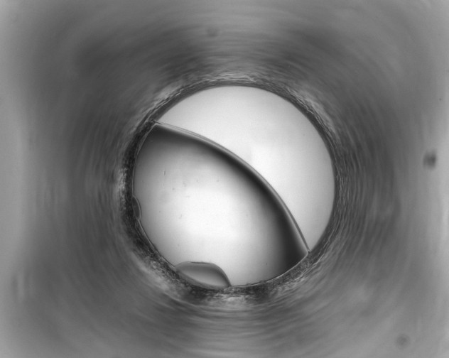 X0000099550260200805160733