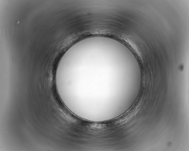 X0000099550261200805160733