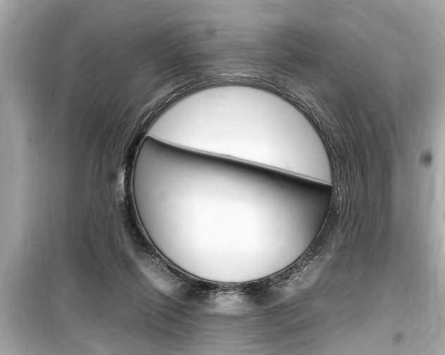 X0000099550262200805160733