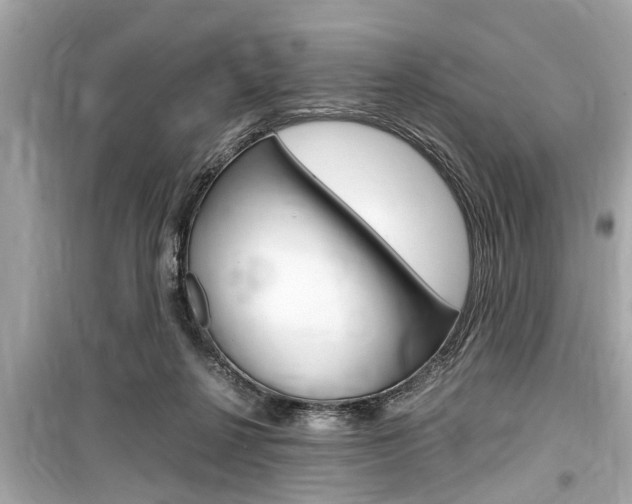 X0000099550264200805160733