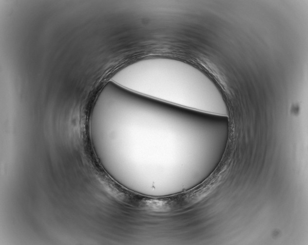 X0000099550265200805160733