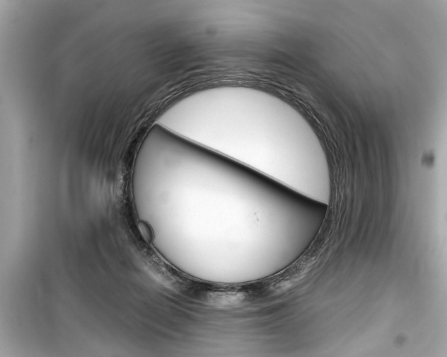 X0000099550266200805160733