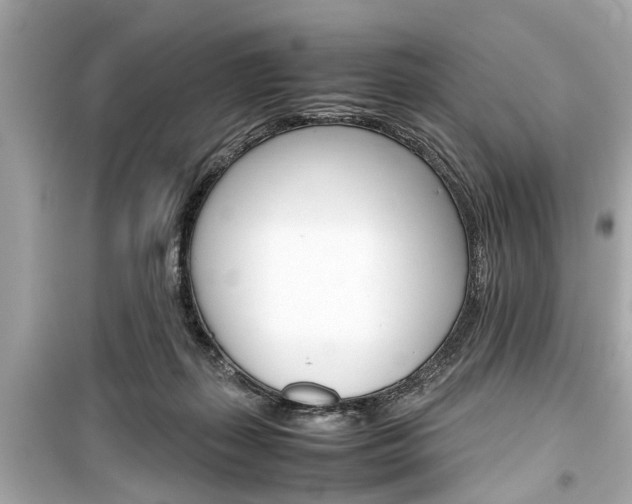 X0000099550267200805160733