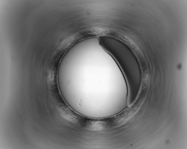 X0000099550268200805160733