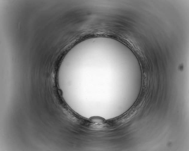 X0000099550269200805160733
