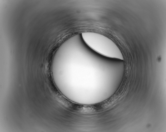 X0000099550270200805160733